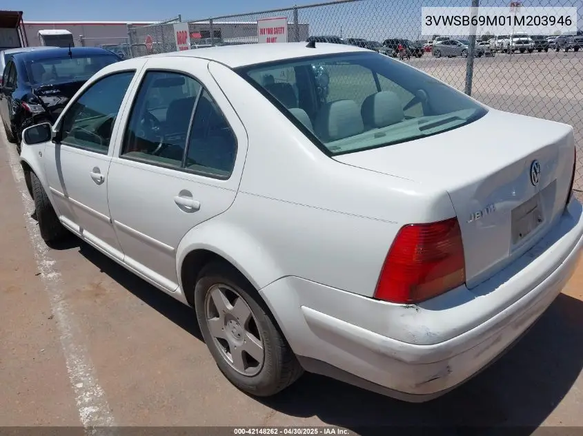 2001 Volkswagen Jetta Gls VIN: 3VWSB69M01M203946 Lot: 42148262