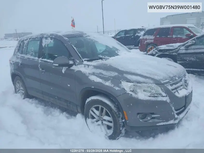 2009 Volkswagen Tiguan Se/Sel VIN: WVGBV75N39W001480 Lot: 12281275