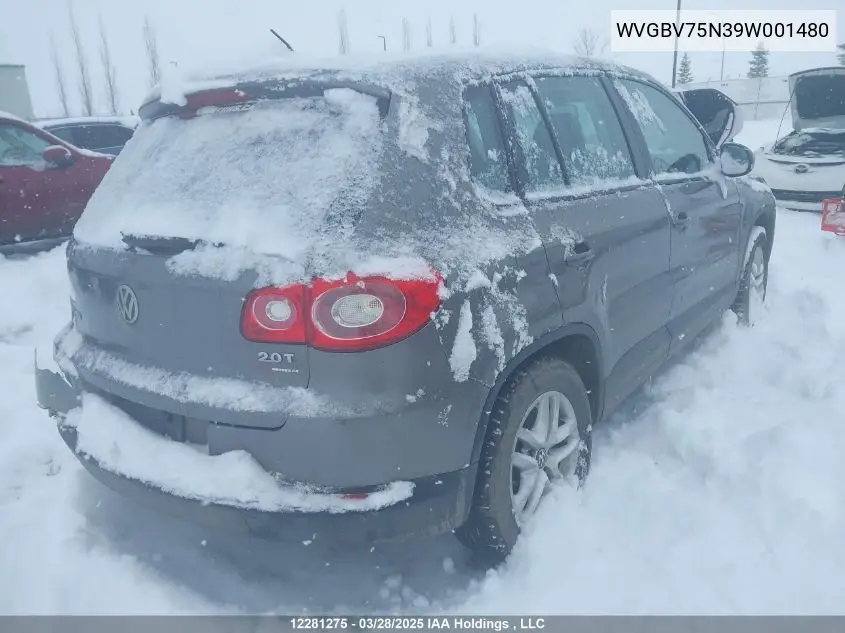 2009 Volkswagen Tiguan Se/Sel VIN: WVGBV75N39W001480 Lot: 12281275