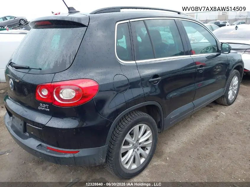 2010 Volkswagen Tiguan Se/Sel VIN: WVGBV7AX8AW514509 Lot: 12328840